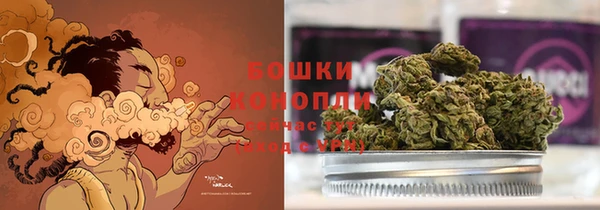 ПСИЛОЦИБИНОВЫЕ ГРИБЫ Балахна