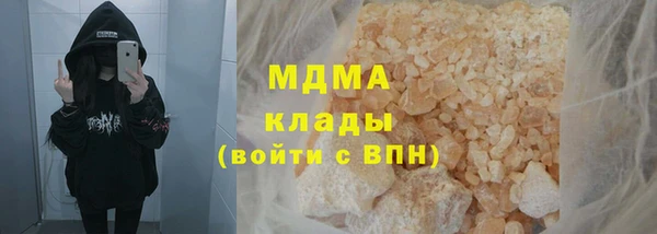 стаф Аркадак