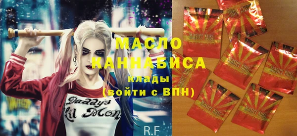 молекула духа Няндома