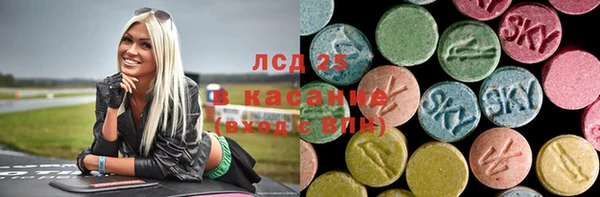 стаф Аркадак