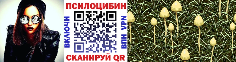 магазин    ОМГ ОМГ маркетплейс  Псилоцибиновые грибы Cubensis  Семёнов 