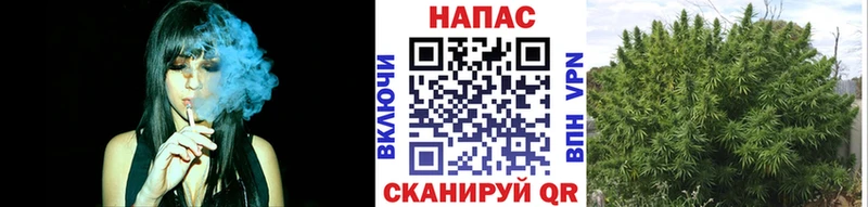 kraken вход где найти наркотики Семёнов площадка клад Бошки Шишки ГИДРОПОН